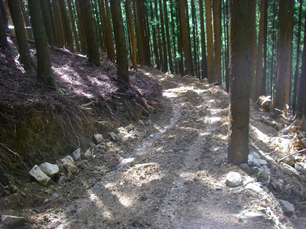 徳島県　つぶろく谷　沢登り_b0124306_21192577.jpg