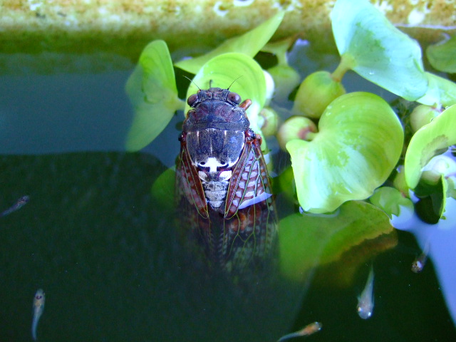 f0152308_1930911.jpg