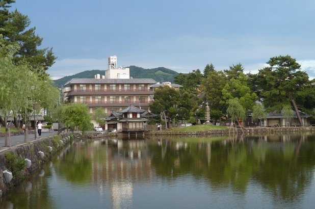 奈良日帰り旅＊江戸三と猿沢池と〆は豊祝で_f0221708_10513013.jpg