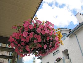 b0051109_3371318.jpg
