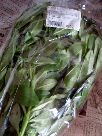 沖縄の野菜 シビランと雲南百薬 楽子の小さなことが楽しい毎日 沖縄の野菜 シビランと雲南百薬 楽子の小さなことが楽しい毎日