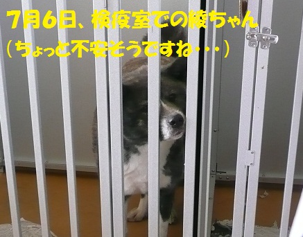 f0121712_1521956.jpg