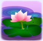 毎週、月、水、木の朝は、ヨーガスートラの勉強タイム_d0103413_11384087.jpg
