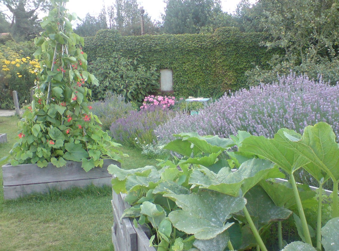 d0237913_4214660.jpg