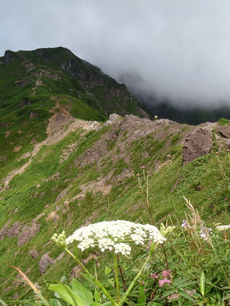 c0177814_125567.jpg