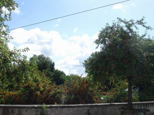 c0124619_3595549.jpg