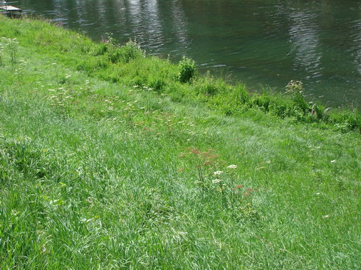 c0124619_412341.jpg