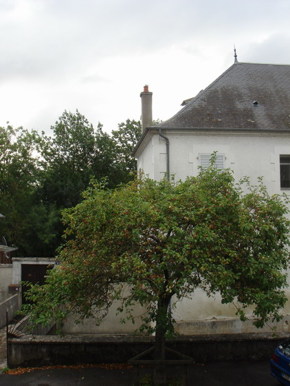c0124619_424497.jpg