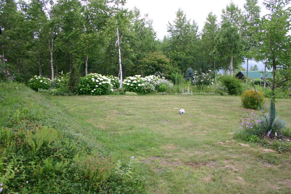 d0143719_9521537.jpg