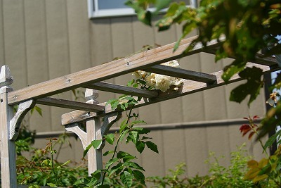 f0170524_1143250.jpg