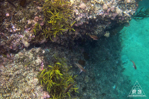 c0211532_1815445.jpg