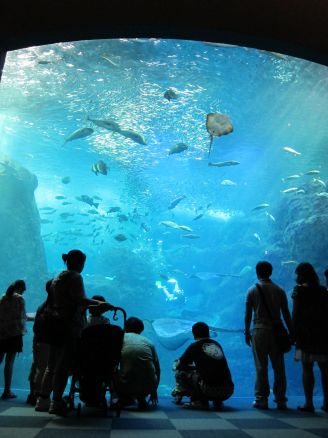 江ノ島水族館_a0088435_00594.jpg