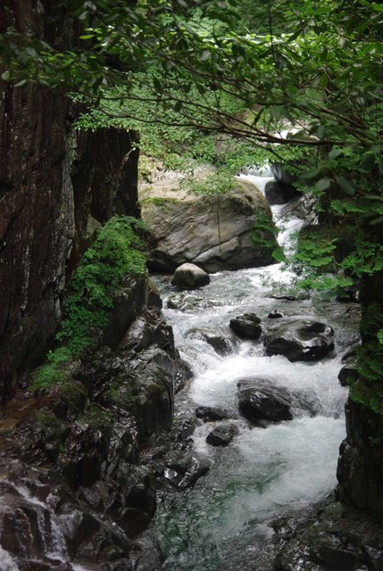 e0171336_21374734.jpg