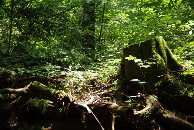 e0171336_21443322.jpg