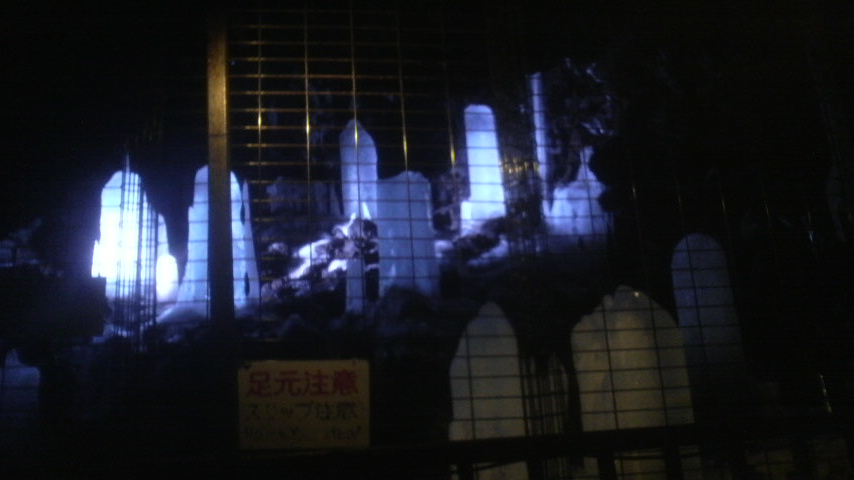 f0090236_2023559.jpg