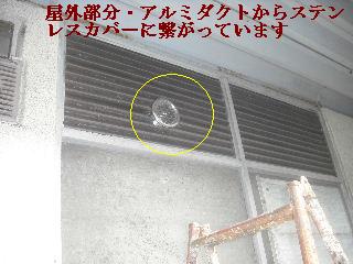 震災被害による部分修理_f0031037_21262584.jpg