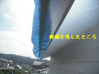 f0031037_2153762.jpg
