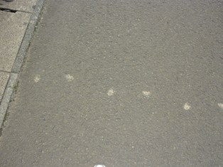 b0169238_21494154.jpg