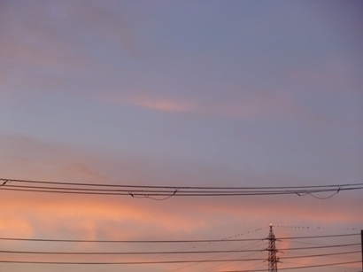b0169238_21505846.jpg