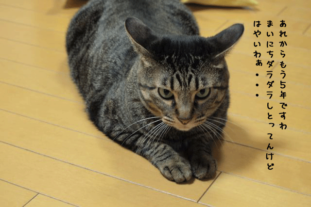 f0116546_1265478.gif