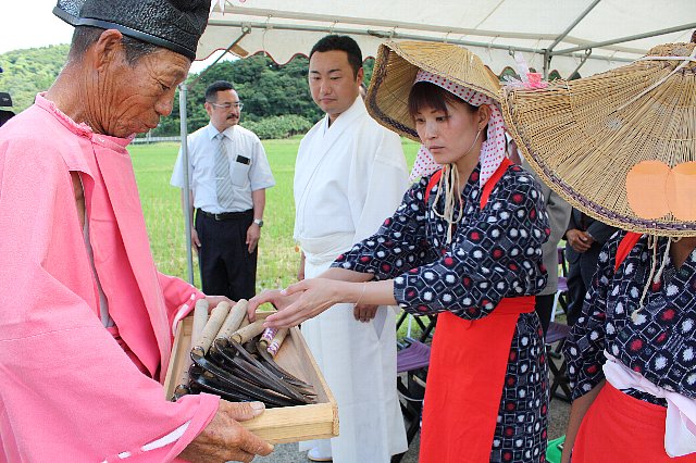 平成23年宮崎県神道青年会　抜穂祭_c0045448_21204978.jpg