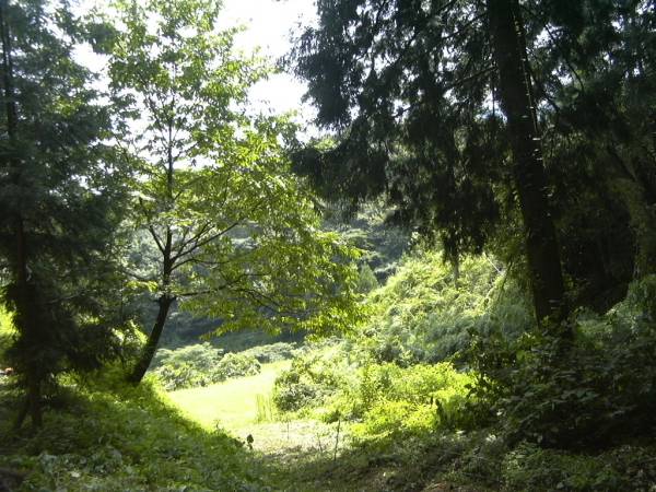 f0002248_212468.jpg