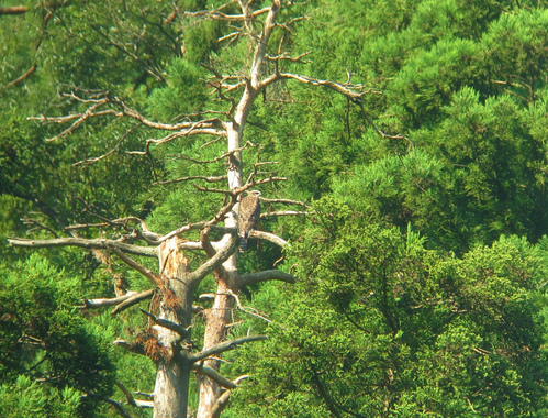 e0128650_23184560.jpg