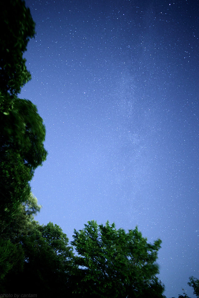 Samyang 14mm F2.8_f0091955_19412115.jpg