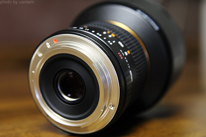 Samyang 14mm F2.8_f0091955_19412179.jpg