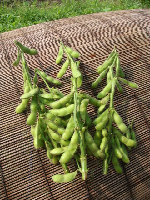 c0074157_11421562.jpg