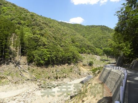 池の谷池(三重県多気郡大台町)　2011年5月14日_e0178757_2253226.jpg