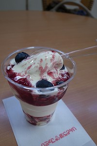 c0171358_05830.jpg