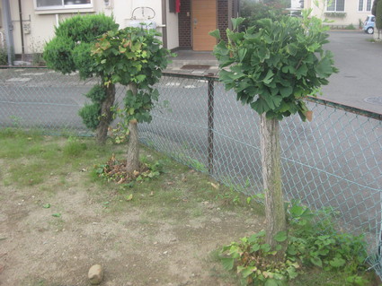 企画「大田原をもっと知ろう!」・・・その10、浅香⑦。_b0063162_2219212.jpg