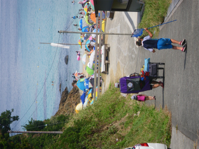 e0032163_1640393.jpg