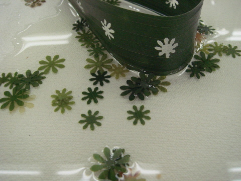 e0086864_0412276.jpg