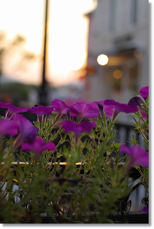 夕暮れ_c0054876_1831098.jpg