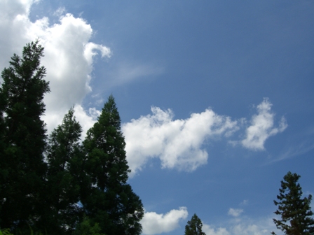 a0188079_12354839.jpg