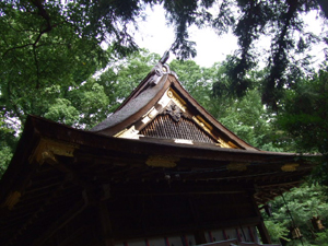 大和左岸は水の神_c0051781_2355180.jpg