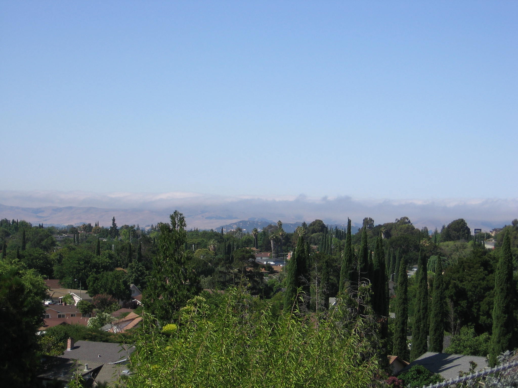 a0194886_8273153.jpg