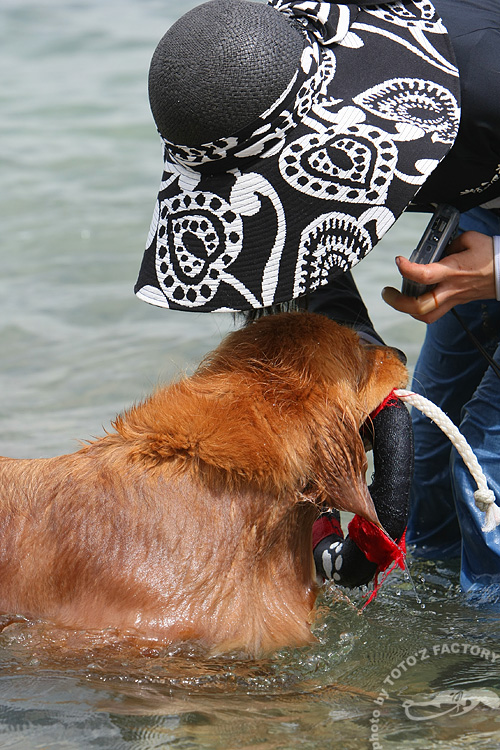 琵琶湖で泳ぐ_a0034287_21125750.jpg