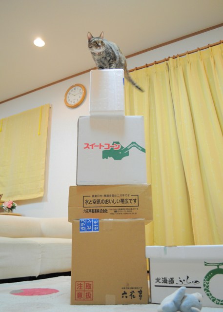 北海道おみやげ祭り_a0126590_233267.jpg