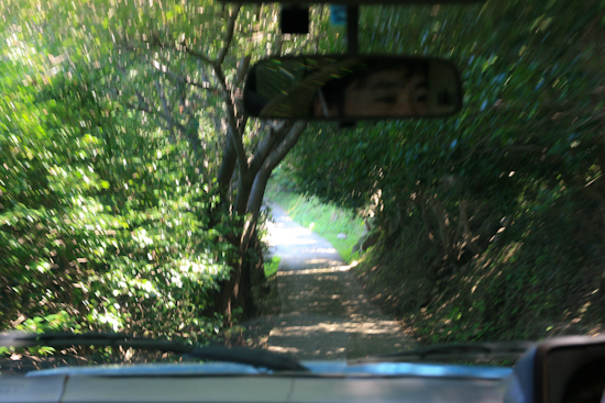 f0093592_22361174.jpg