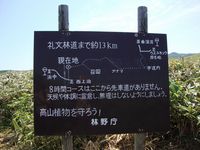 d0004195_20525163.jpg