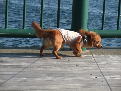 b0203596_1550130.jpg