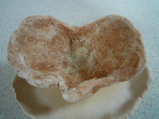 c0114797_79322.jpg