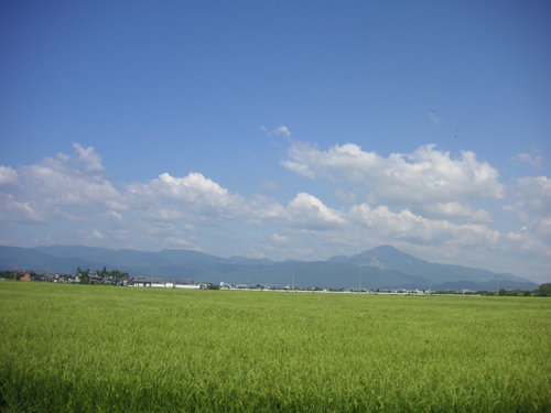 d0115997_045060.jpg