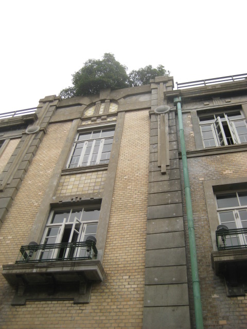 a0193698_22182197.jpg