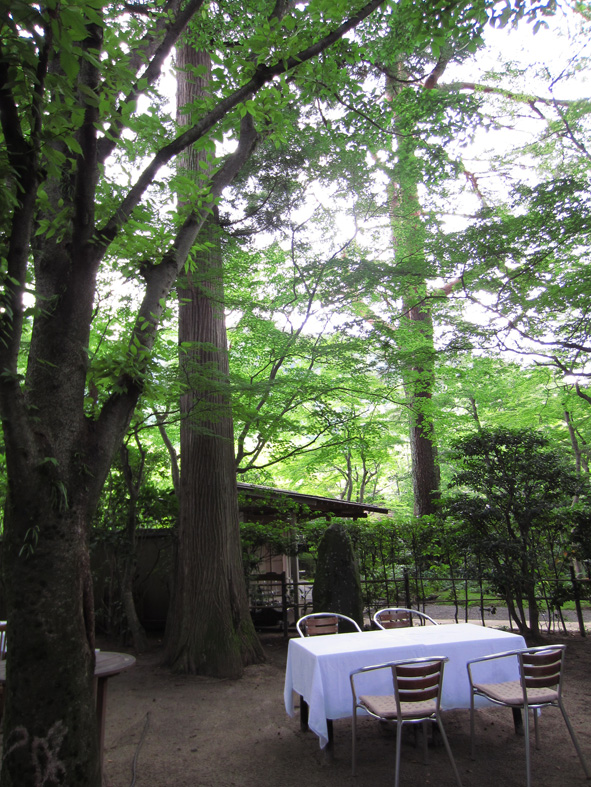 亀の井別荘 @morning_b0118001_22141220.jpg
