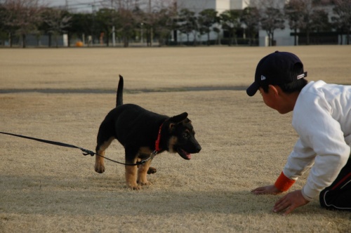 さくらちゃん♪はじめまして～（4月1日分)_f0138102_1535936.jpg