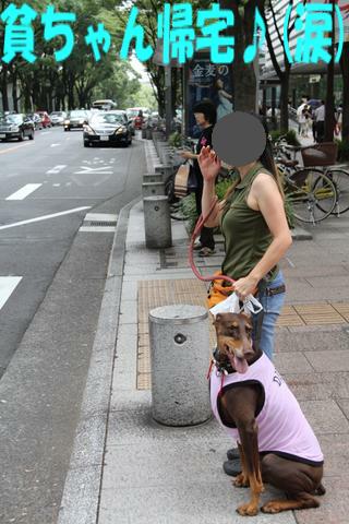 e0100007_2141266.jpg